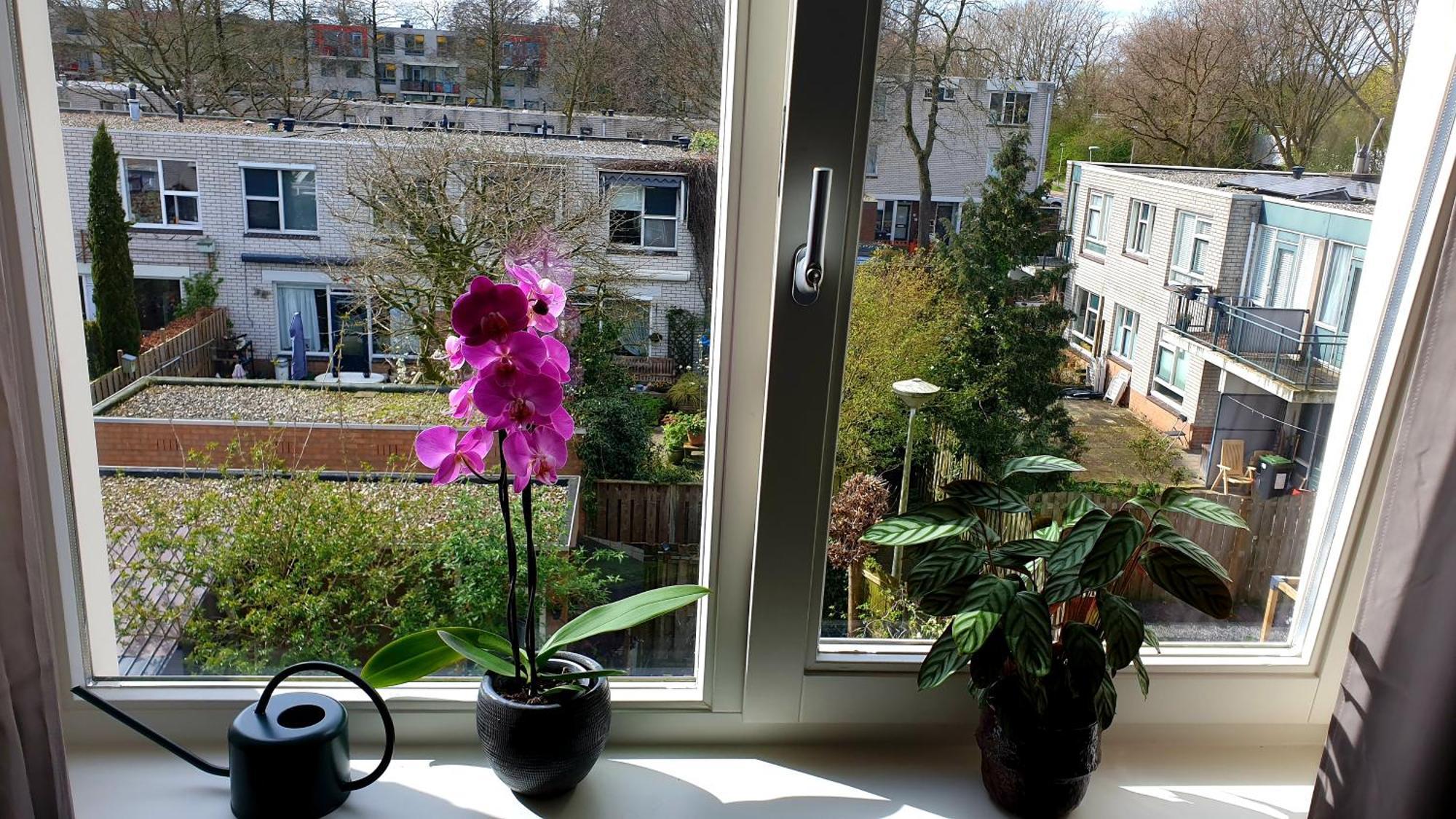 Amor Guesthouse Амстердам Екстериор снимка