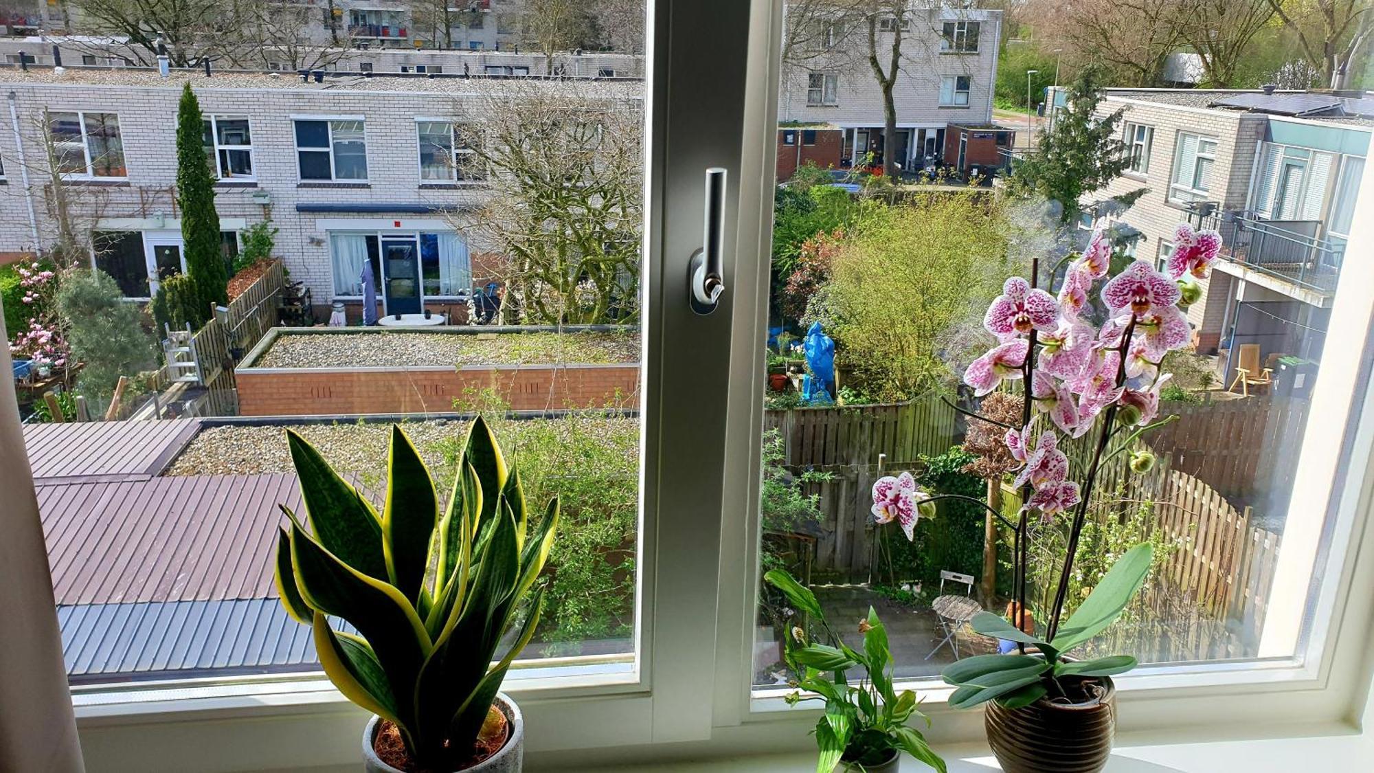 Amor Guesthouse Амстердам Екстериор снимка